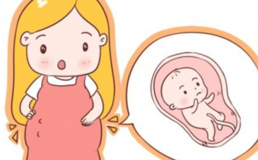 男宝胎芽图和宝宝胎芽图，胎芽早晚、长短均有区别
