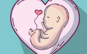 备孕可以吃海带吗？备孕可以吃海带吗？~供卵公司怎么样